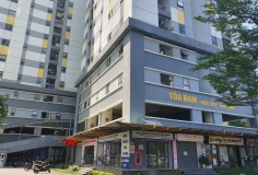 Thủ tướng yêu cầu đẩy mạnh phát triển nhà ở xã hội, kiểm soát giá bất động sản phù hợp thu nhập người dân