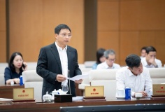 Nhà nước quản lý, điều tiết giá theo cơ chế thị trường