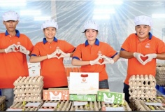 Trang trại nuôi gà đẻ trứng công nghệ cao tự động hóa toàn diện