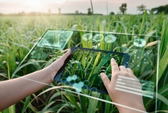 Khát vọng “kỳ lân” Việt Nam – Từ khởi nghiệp đến gọi vốn quốc tế