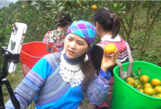 Nhận diện rào cản để người dân vùng cao tiếp cận chuyển đổi số