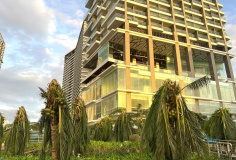 Hỗ trợ khẩn cấp 80 tỷ cho các tỉnh Quảng Ngãi, Gia Lai và Đắk Lắk khắc phục hậu quả bão số 13