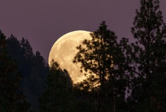 Châu Âu và tham vọng 