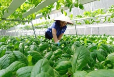 Hà Nội tăng tốc chuyển đổi số: Hoàn thiện cơ chế đánh giá, mở rộng động lực từ thực tiễn