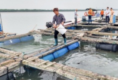 Quảng Ninh: Khoa học công nghệ tạo đột phá trong sản xuất xanh và giảm nghèo bền vững