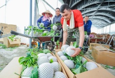 Xã Trường Tân bứt phá với nông nghiệp công nghệ cao