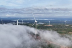 Chính thức vận hành thương mại nhà máy điện gió Savan 1 của T&T Group tại Lào