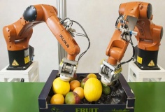 Doanh nghiệp robot và tự động hóa Anh 