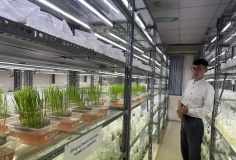 Khoa học công nghệ dẫn dắt nông nghiệp Việt Nam vượt “giới hạn” tăng trưởng truyền thống