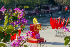 Rực rỡ cờ, hoa chào mừng Đại hội XIV của Đảng