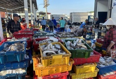 Hoàn thiện khuôn khổ pháp lý, tăng cường quản lý nhà nước, bảo vệ và phát triển bền vững nguồn lợi thủy sản