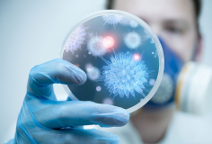 Bộ Y tế khuyến cáo người dân hạn chế đến khu vực có dịch bệnh do virus Nipah