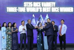 ST25: 'Tấm hộ chiếu' đưa nông sản Việt vươn tầm thế giới