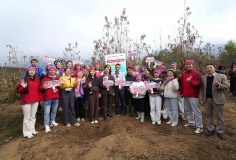 Thương mại điện tử mở lối cho nông sản Lai Châu vươn ra thị trường