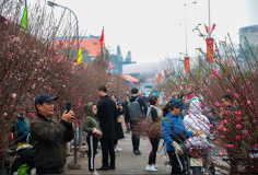 Thời tiết Tết Nguyên đán 2026: Miền Bắc rét về đêm, miền Nam nắng ráo, ít mưa