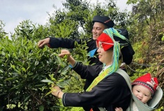 Văn hóa Việt thắp sáng kinh tế xanh