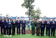 Tổng Bí thư Tô Lâm: Trồng cây hôm nay là gieo mầm hạnh phúc cho tương lai