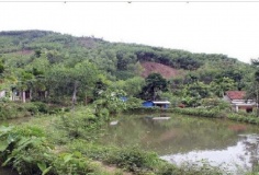 Căn cứ xác định là đất vườn, ao gắn liền đất ở