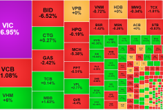Cổ phiếu điều chỉnh diện rộng, thanh khoản thấp đột biến