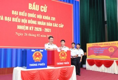 4 khu vực của TPHCM tiến hành bỏ phiếu bầu cử sớm