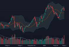 Vốn ngoại tranh thủ bắt đáy mạnh, cổ phiếu dầu khí, hóa chất, cao su tăng rực rỡ