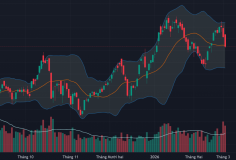 Cổ phiếu dầu khí “cháy” trở lại, tiền vẫn chặn đỡ ổn định vùng giá thấp