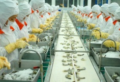 Ngành thủy sản chủ động ứng phó với căng thẳng tại Trung Đông