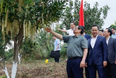 Thủ tướng Phạm Minh Chính: Cần biến núi rừng Tây Bắc trùng điệp thành của cải vật chất