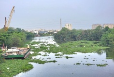 Nghiên cứu lắp đặt hệ thống ngăn lục bình, thu gom rác thải tại đầu nguồn sông, kênh, rạch