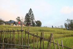 Việt Nam vào top 5 điểm đến du lịch hấp dẫn nhất thế giới năm 2026