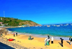 Hơn 37 tỷ đồng xây dựng cộng đồng ven biển thích ứng biến đổi khí hậu tại Bình Định