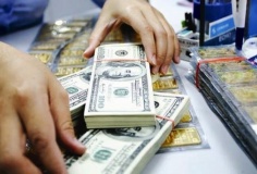 Giá USD tự do đi ngang