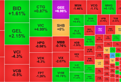 Cầu giá cao suy yếu, thị trường điều chỉnh giảm diện rộng