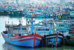 Giá dầu tăng mạnh, nhiều ngư dân “bỏ biển” chờ giải pháp