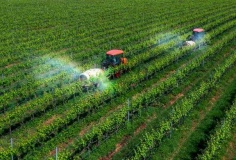 Doanh nghiệp nông nghiệp và áp lực trước biến động giá năng lượng