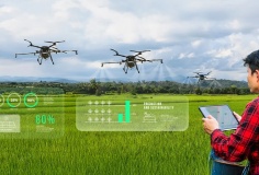 Ngành nông nghiệp trước áp lực chuyển đổi sang mô hình sản xuất hiện đại