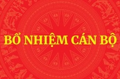 Thủ tướng Chính phủ phê chuẩn kết quả bầu Chủ tịch, Phó Chủ tịch UBND cấp tỉnh nhiệm kỳ 2026-2031