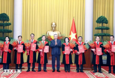 Tổng Bí thư, Chủ tịch nước Tô Lâm trao quyết định bổ nhiệm Thẩm phán TAND tối cao