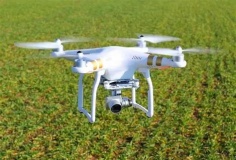 Drone trong nông nghiệp: Lợi ích lớn; thách thức không nhỏ