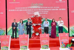 Thái Nguyên khởi công loạt dự án nghìn tỷ, tạo đà bứt phá tăng trưởng