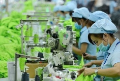 Nhiều rào cản khiến tiến trình chuyển đổi xanh còn chậm