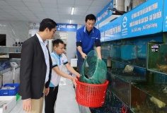 Tăng cường chuyển đổi số trong xây dựng nông thôn mới trên địa bàn tỉnh Quảng Trị