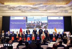 Tổng Bí thư, Chủ tịch nước Tô Lâm chứng kiến Lễ trao các thỏa thuận hợp tác giữa các DN Việt Nam và Ấn Độ
