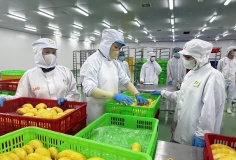 Khoa học, công nghệ là 'chìa khóa' chuyển đổi mô hình tăng trưởng nông nghiệp