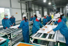 Doanh nghiệp tư nhân cán mốc 1 triệu: Nghịch lý quy mô nhỏ, khó khăn bủa vây