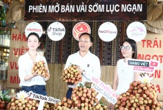 Phó Chủ tịch Bắc Ninh 'mát tay' livestream bán hơn 31 tấn vải thiều Lục Ngạn giúp bà con nông dân