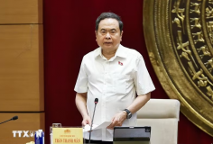Ủy ban Khoa học, Công nghệ và Môi trường không được phép đi sau thực tiễn