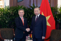 Tổng Bí thư, Chủ tịch nước Tô Lâm tiếp các doanh nghiệp lớn của Singapore