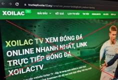 Cần chặn dòng tiền, truy vết đường dây để diệt tận gốc web lậu