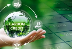 Nhu cầu trao đổi tín chỉ carbon quốc tế đang tăng mạnh